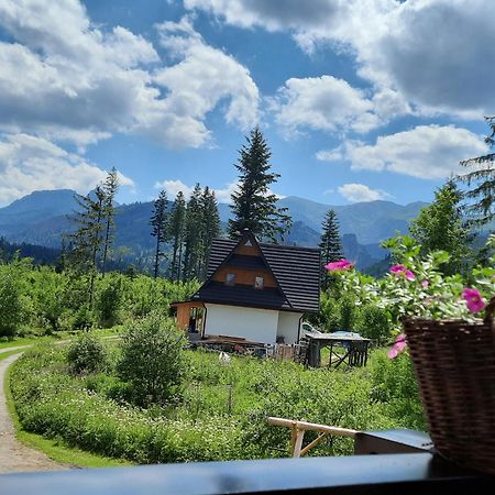 Goralska Chata Przy Dolinie Chocholowskiej Witow  Exterior photo